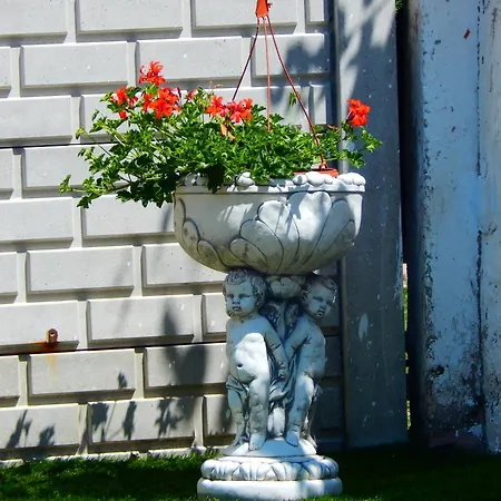 Apartman Luna Vendeghaz